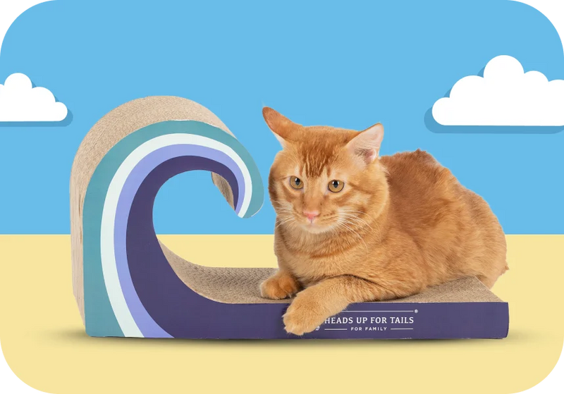 Cat Scratchers