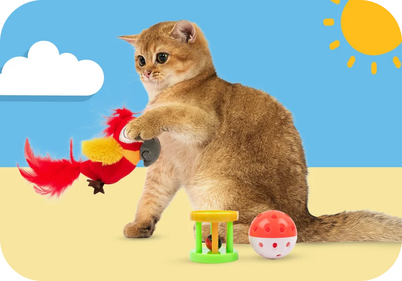 Cat Toys