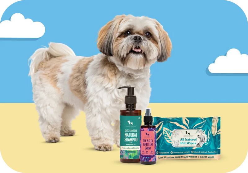 At-Home Grooming