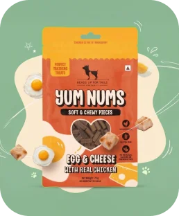 Egg & Cheese