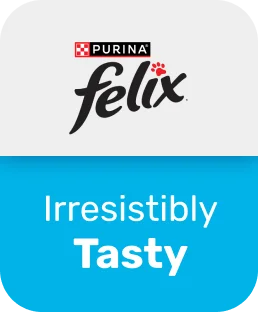 UP TO 13% Off
