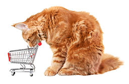 Empty cart