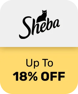 Limited Offer
