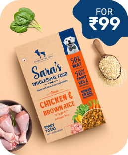 Try for ₹99